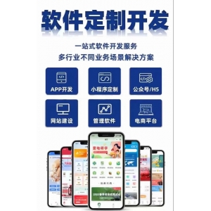 AI大模型能否预测未来趋势：技术潜力与现实挑战